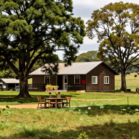 Descubra a Fazenda Novo Rancho