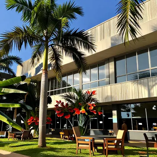 Descubra a Rota Turismo & Eventos