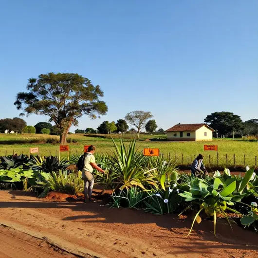 Descubra os Encantos da Zona Rural de Teresina – Bairros e Regiões Descubra os Encantos da Zona Rural de Teresina - Bairros e Regiões